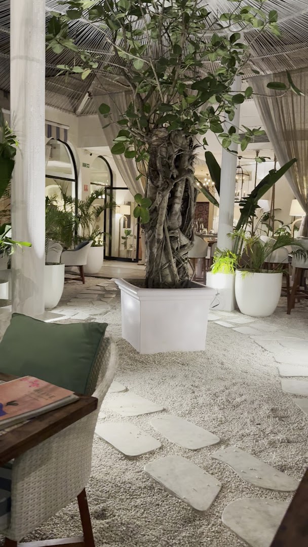 Olive Café & Bar: beautiful, high-quality interior atmosphere