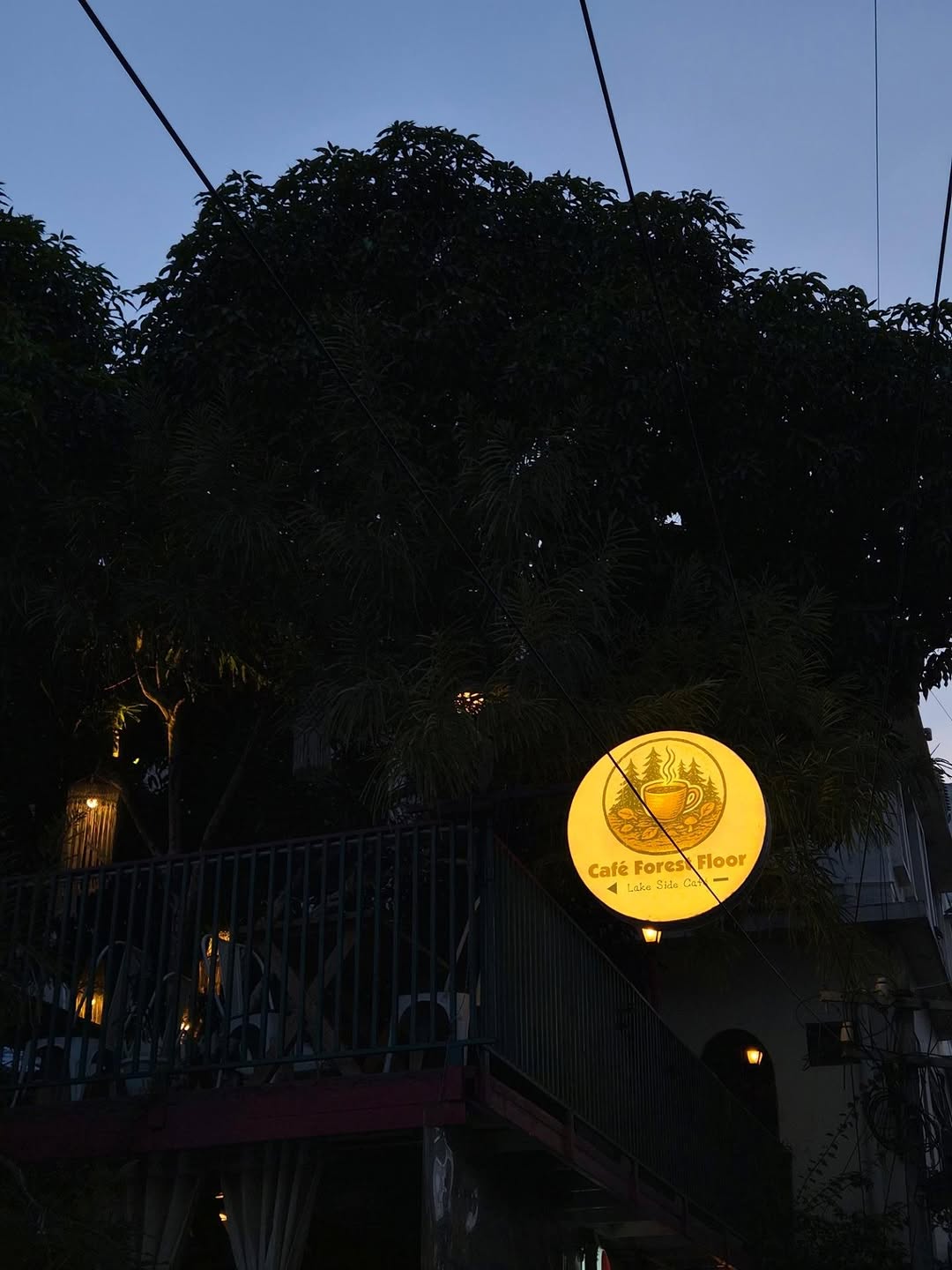 Cafe Forest Floor: clear exterior shot of venue