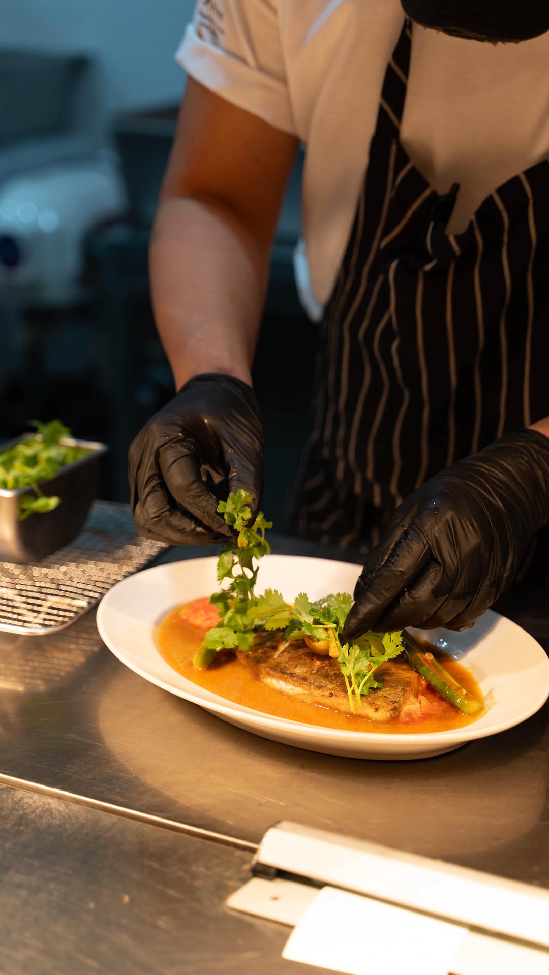 BREMAN85: professional shot of food preparation