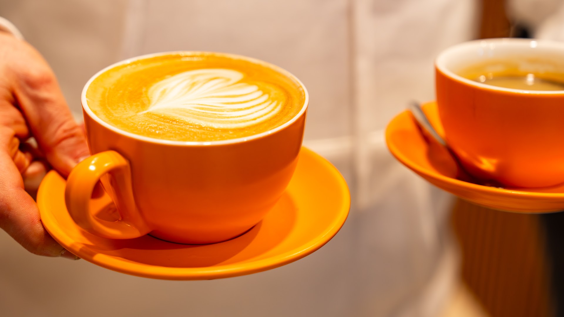 Ola Cafe: high quality professional coffee shot