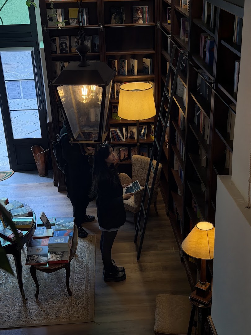 Gatsby Books: atmospheric and inviting bookstore interior