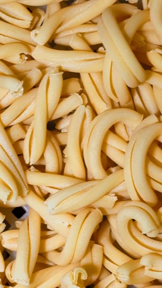 Wow Pasta: high quality close-up of pasta