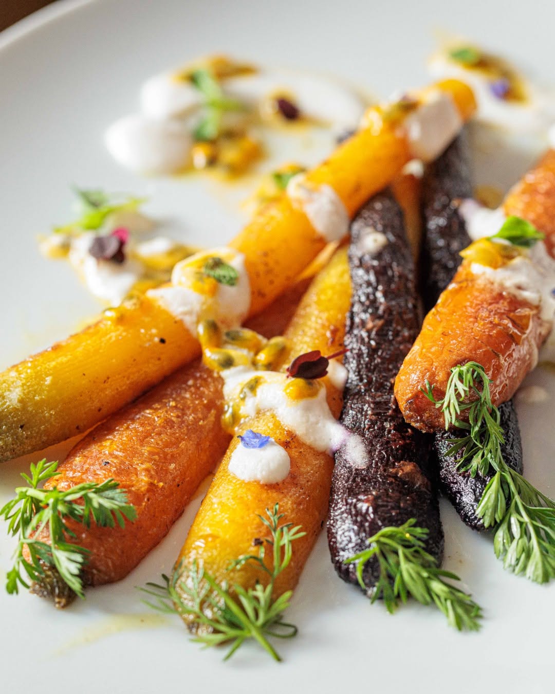 Spiga: high quality, appetizing food photography