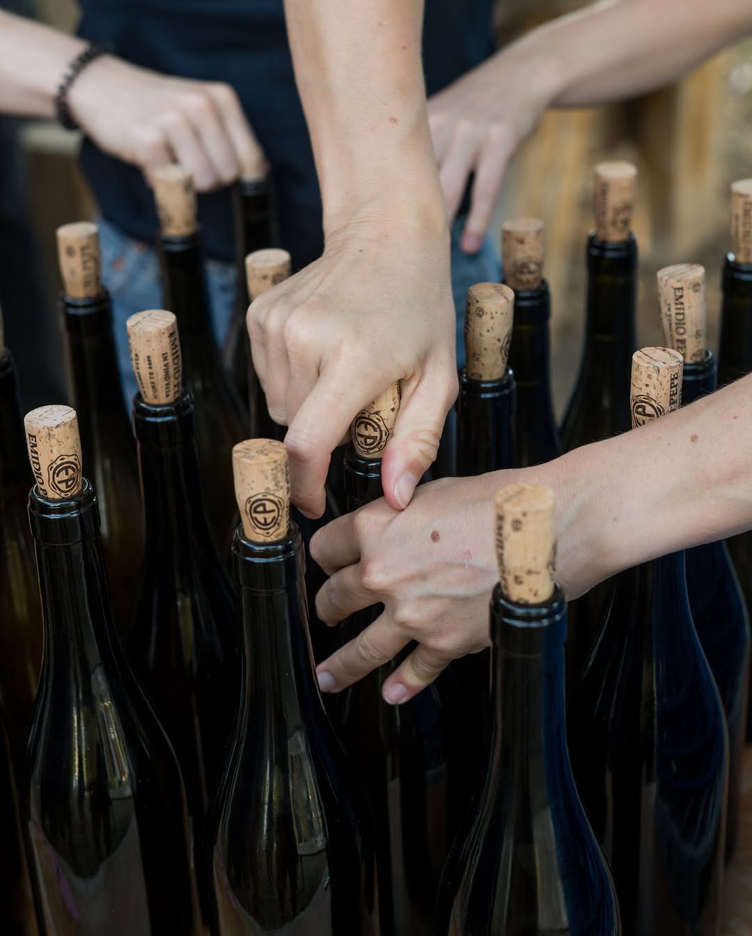 Luna: high quality professional wine photo