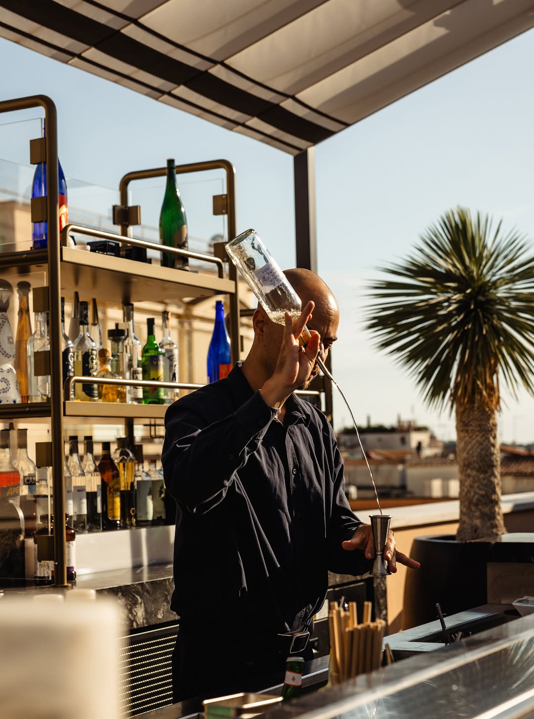 Nobu Roma: professional shot of skilled bartender