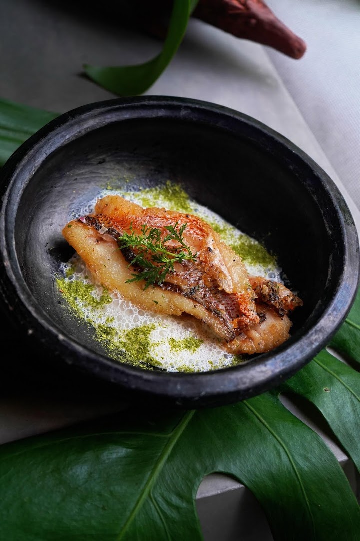 Gioia: high quality professional food photography