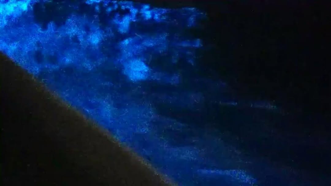 Rock Wharf Luminous Lagoon: venue's unique feature