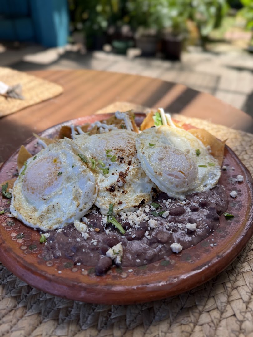Frida Kafe, Coffee & Churros: appetizing, high-quality food photo