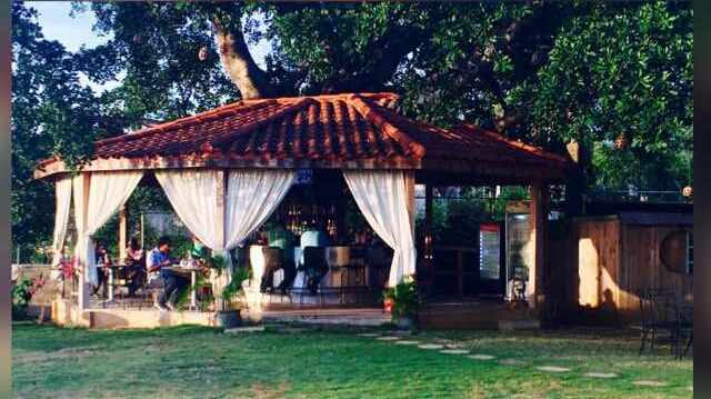 Peppa's Cool Spot: inviting atmosphere and clear view