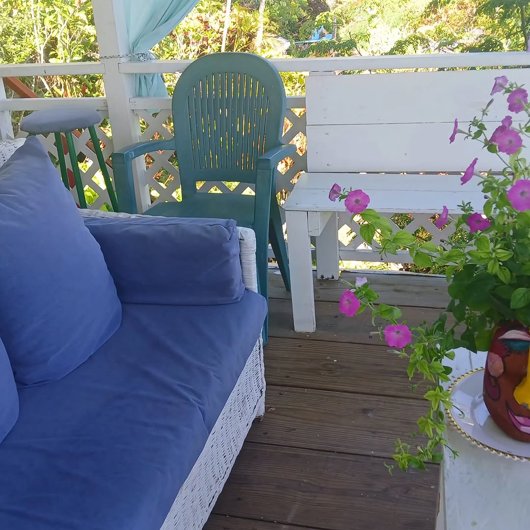 Ras Natango Gallery and Garden: inviting and well-lit gallery terrace