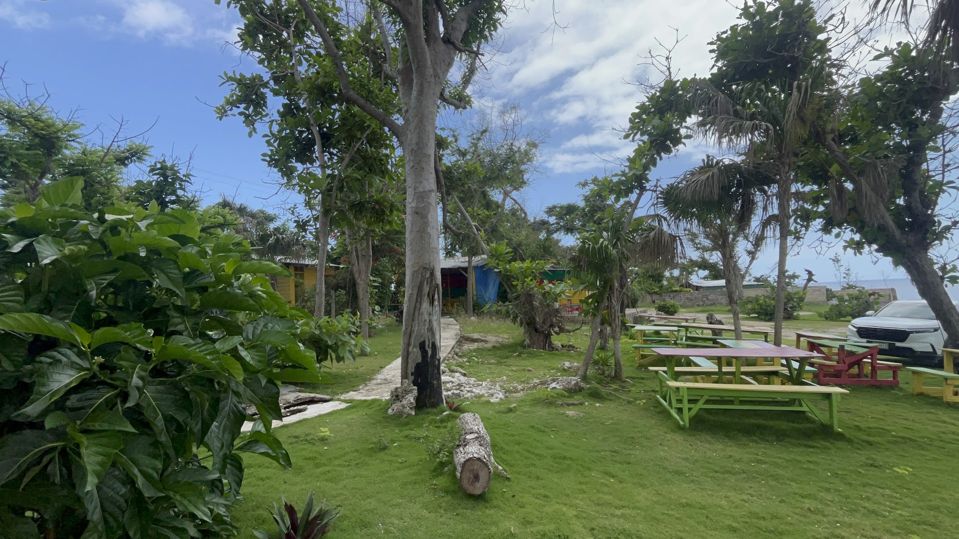 3 Dives Jerk Centre: pleasant outdoor dining area