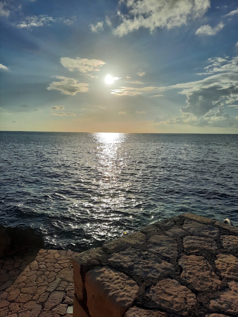 The Blue Mahoe Restaurant & Bar: beautiful scenic restaurant terrace view