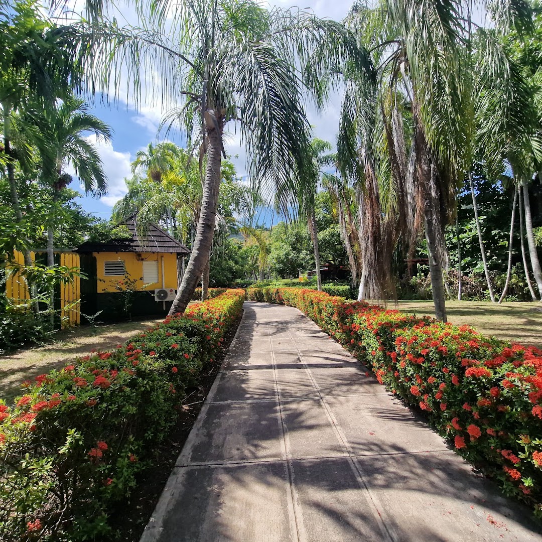 Turtle River Park: beautiful park scenery and atmosphere