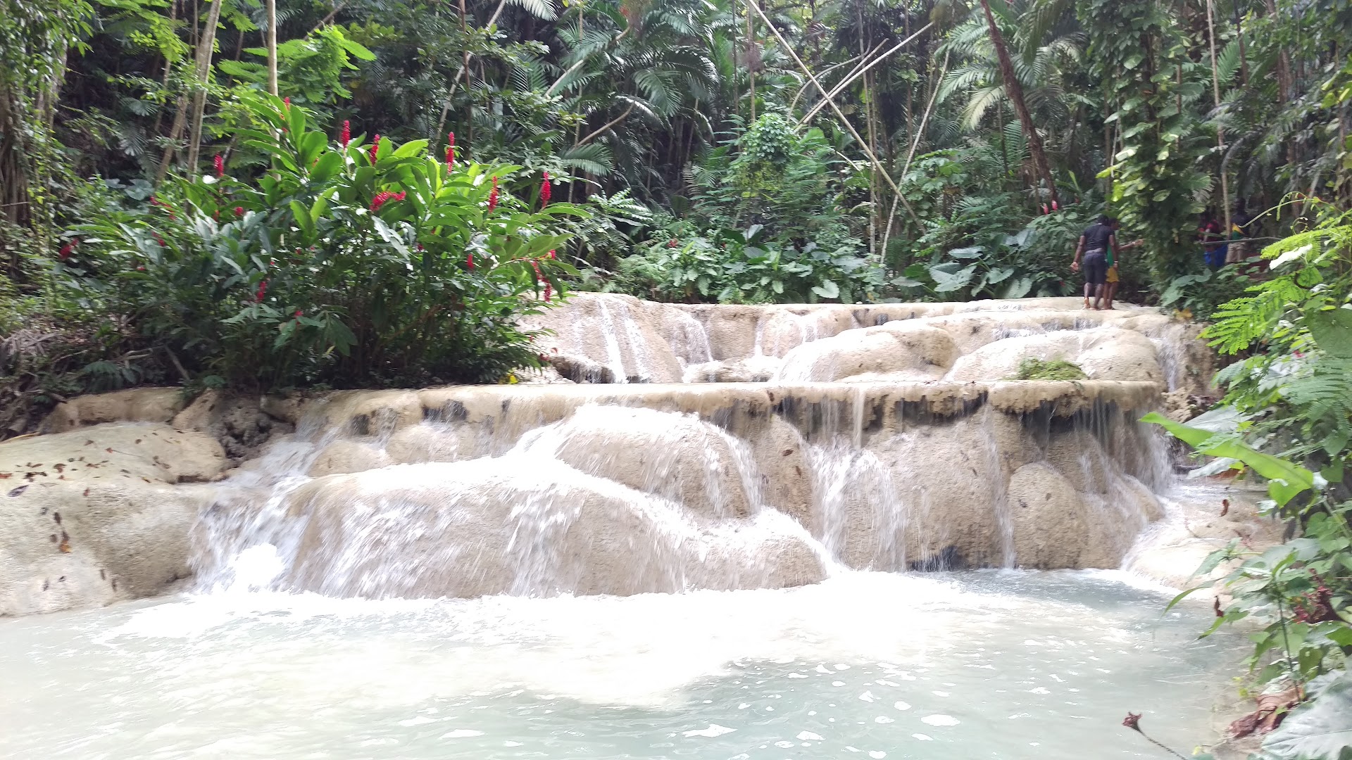 Turtle River Park: beautiful scenery of the park