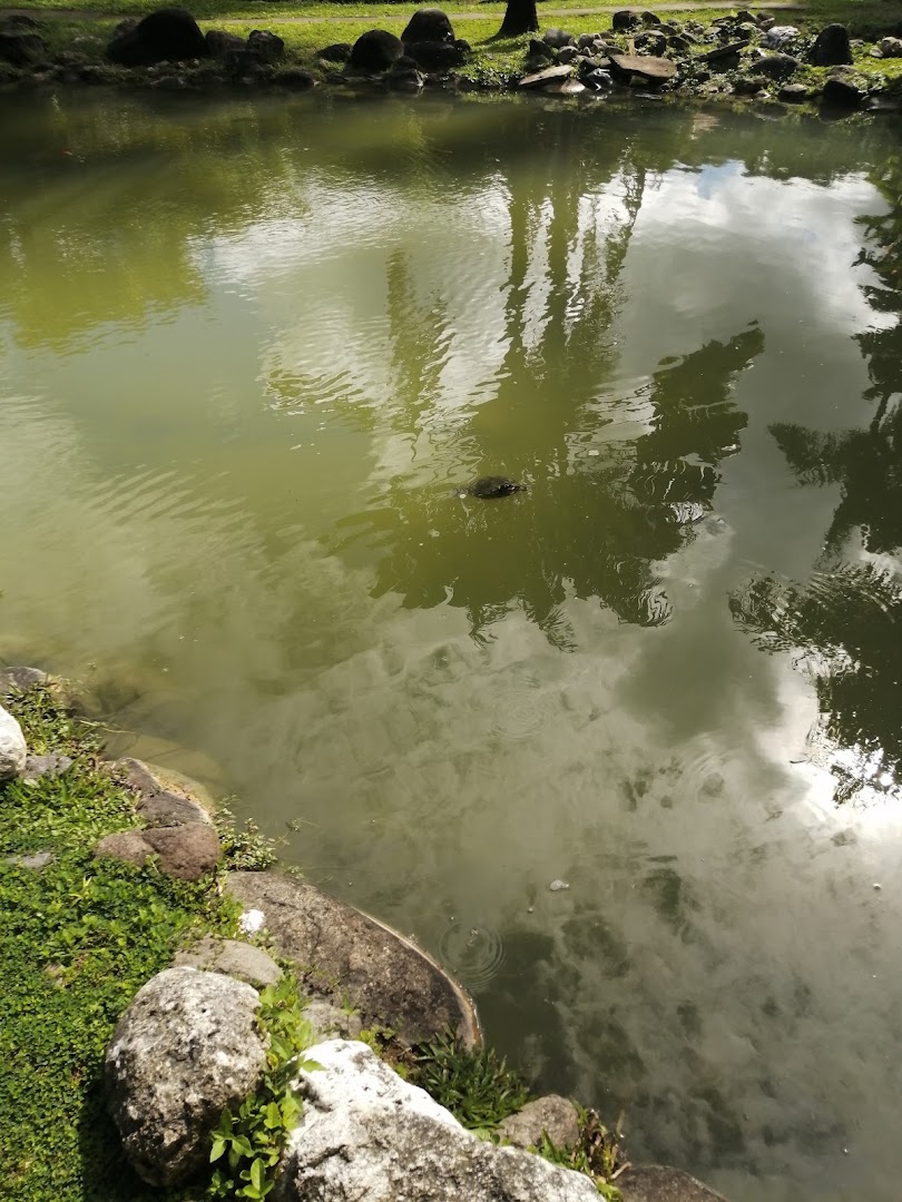 Turtle River Park: scenic view of park pond