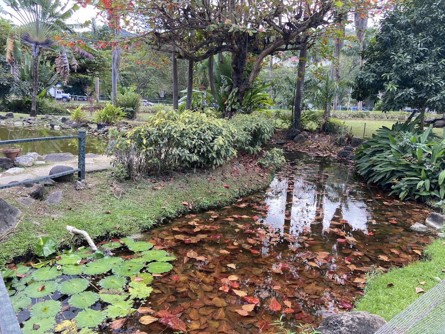 Turtle River Park: beautiful park scenery and atmosphere