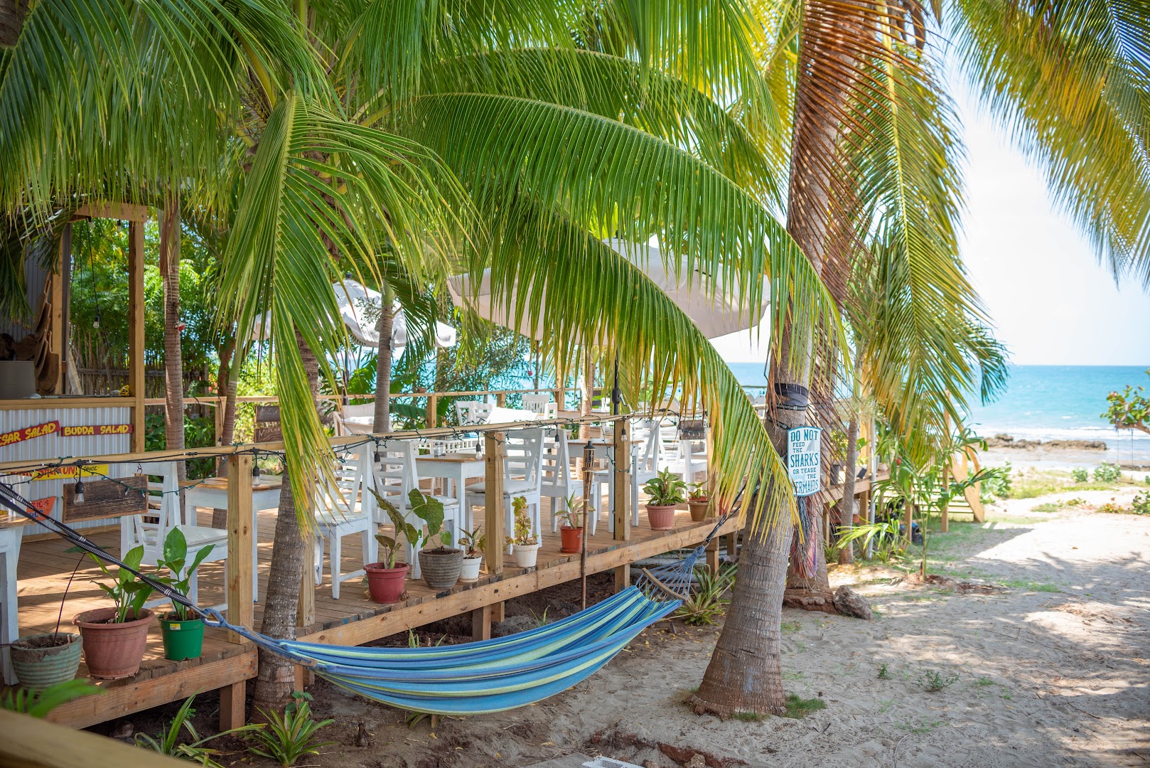 Grego's Seafood Bar & Grill: attractive and inviting restaurant terrace