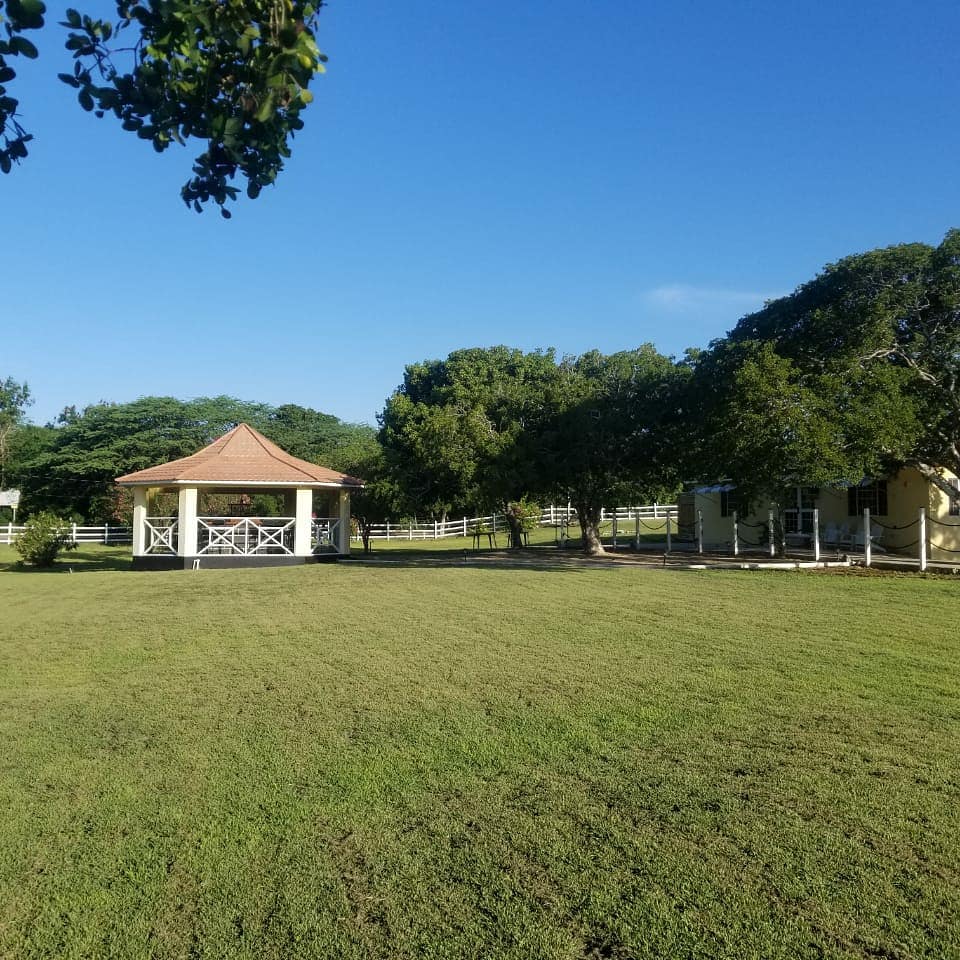 Treasure Beach Inn and Bar: clear shot of venue grounds
