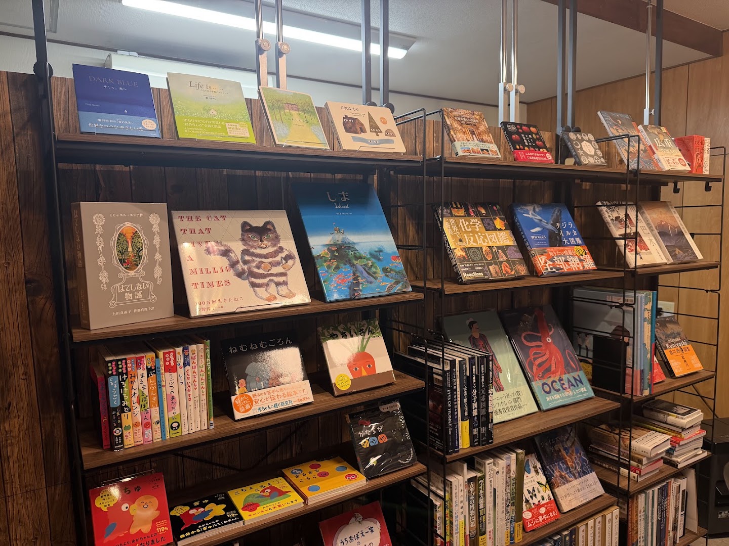 Kitakamakura Books: clear display of book collection