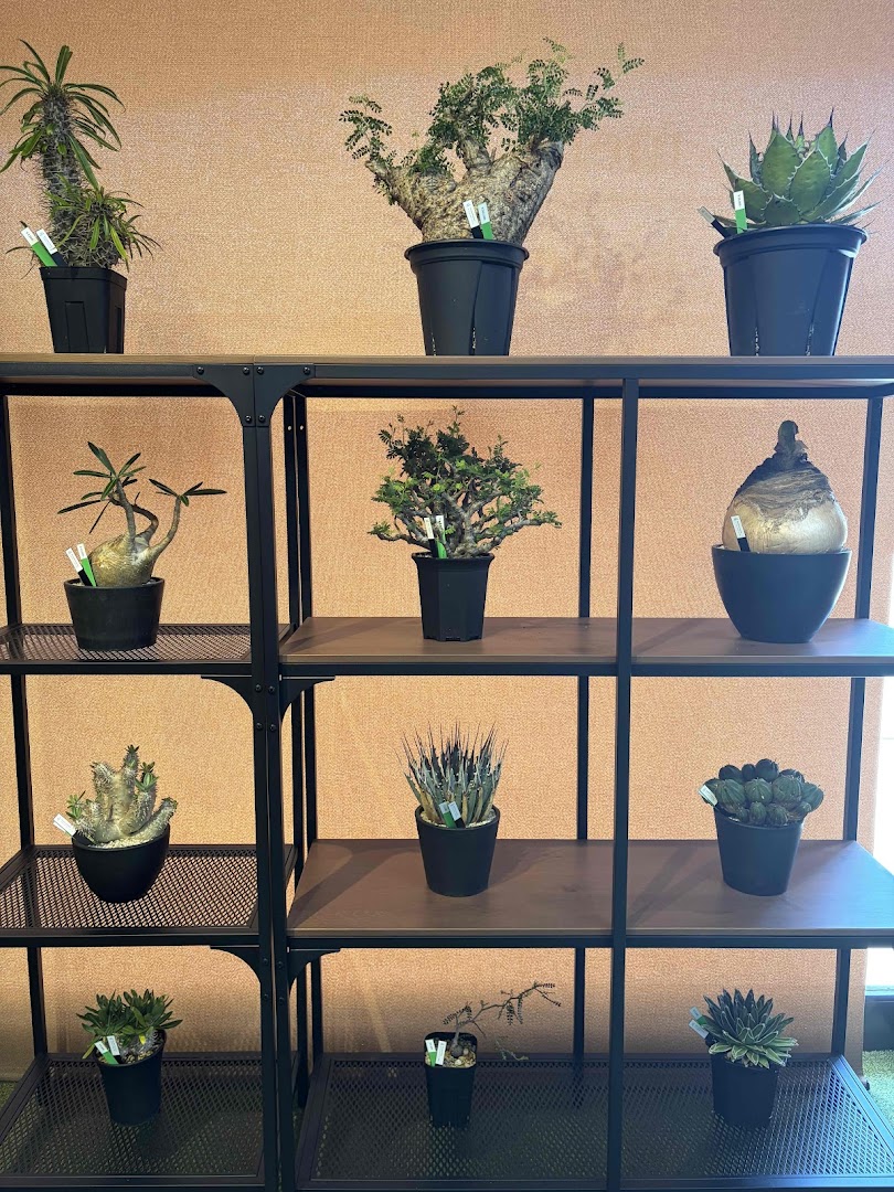 GRIT GREEN: clear display of shop products