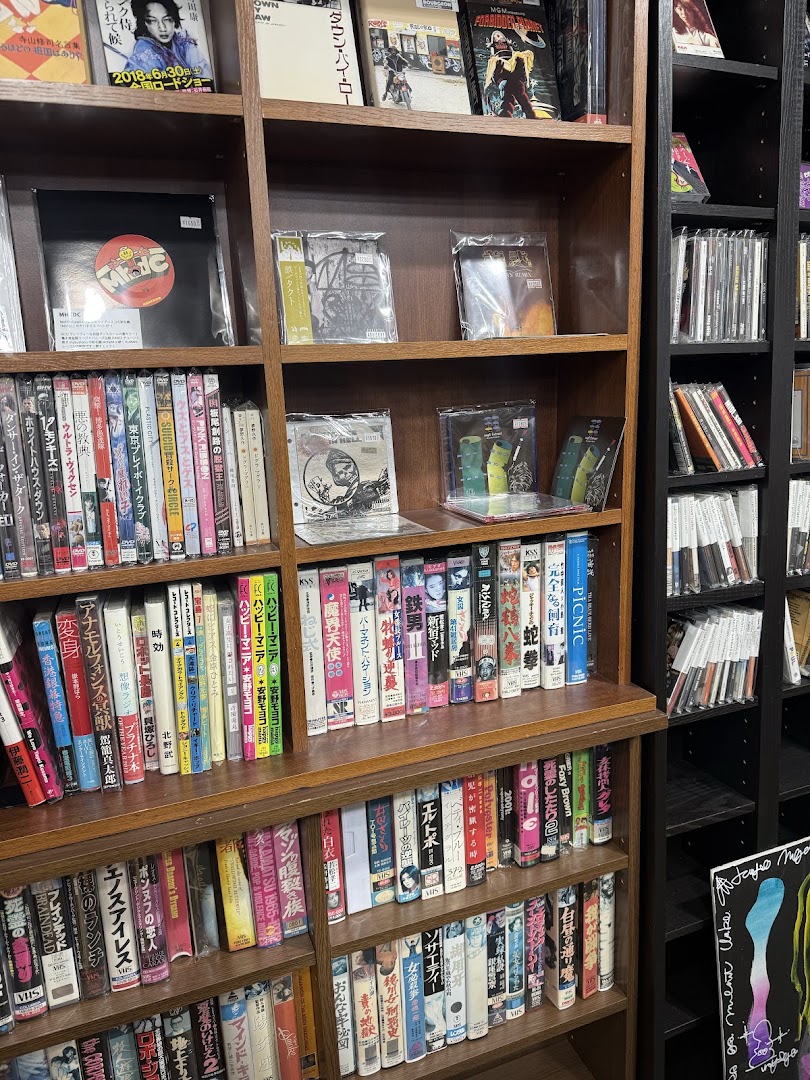 Bourgeon Records: clear display of shop products
