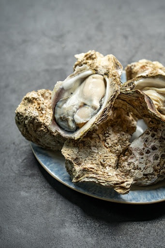 Kokko Kurkku: high quality food photography