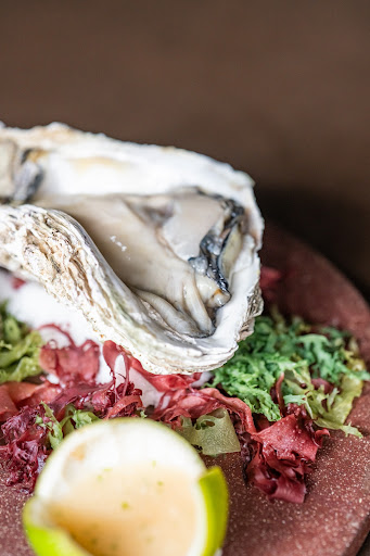 suscrea: high quality food photography