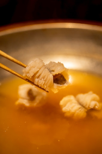suscrea: high quality food photography