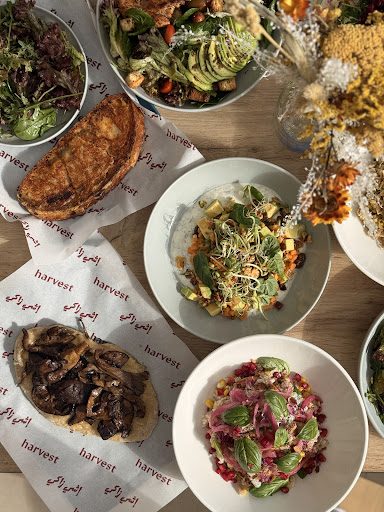 Harvest: appetizing, high-quality food photography
