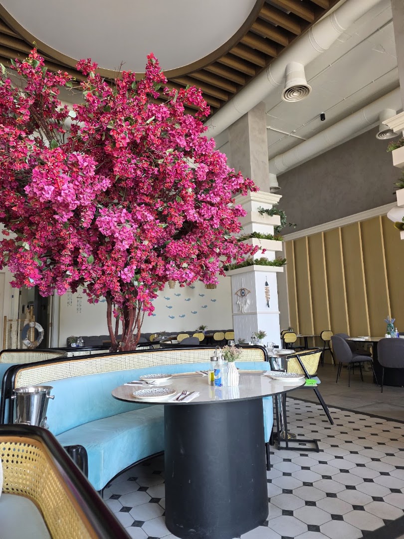 Ankyra Aqaba: attractive interior and inviting atmosphere