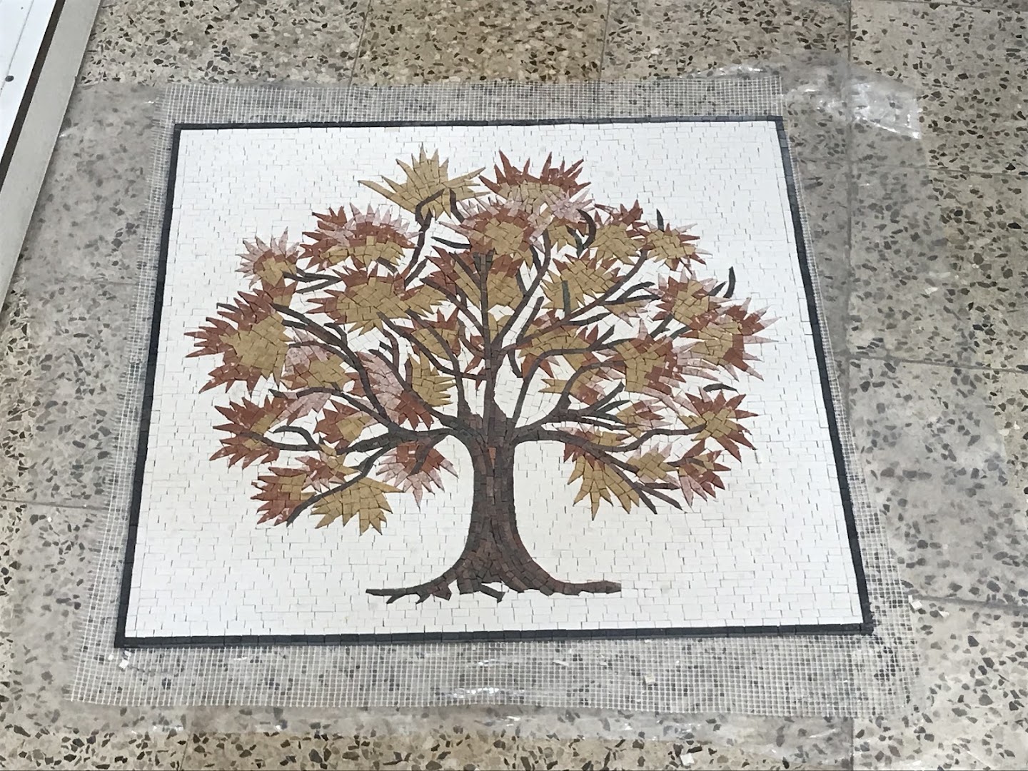 Arabella Workshop for Mosaics: clear photo of mosaic product