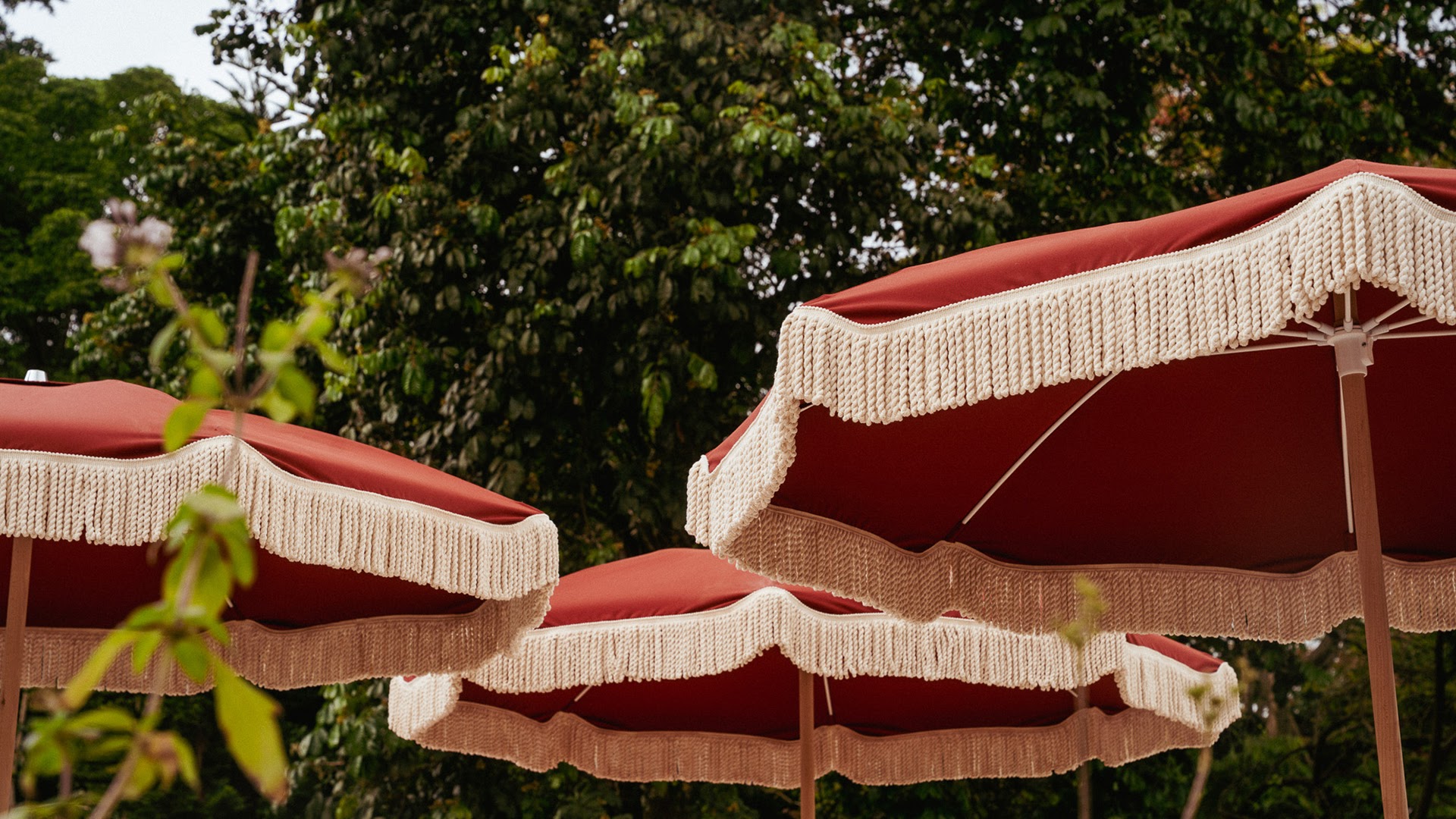 Céline & Lolo: attractive terrace atmosphere