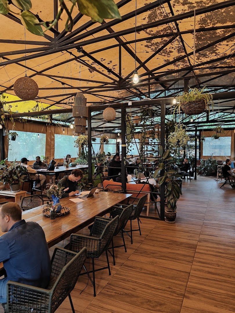 Pickled café & bar: inviting and well-lit interior atmosphere