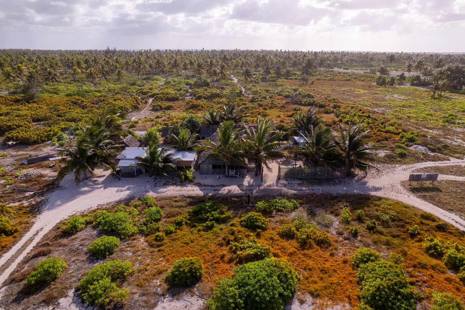 Coconut Homestay: clear aerial view of venue