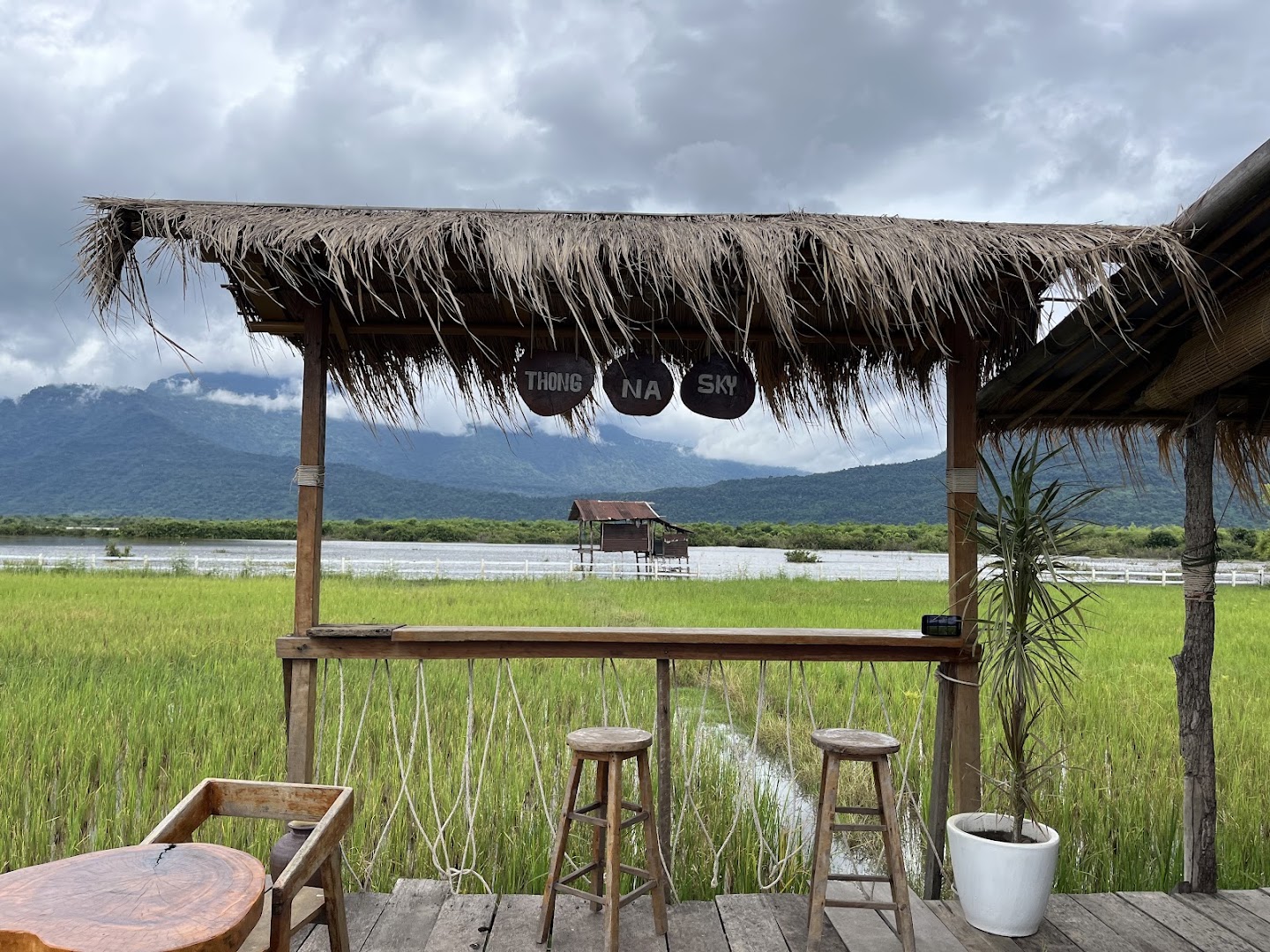 Thongna Sky Café: beautiful scenic view of venue