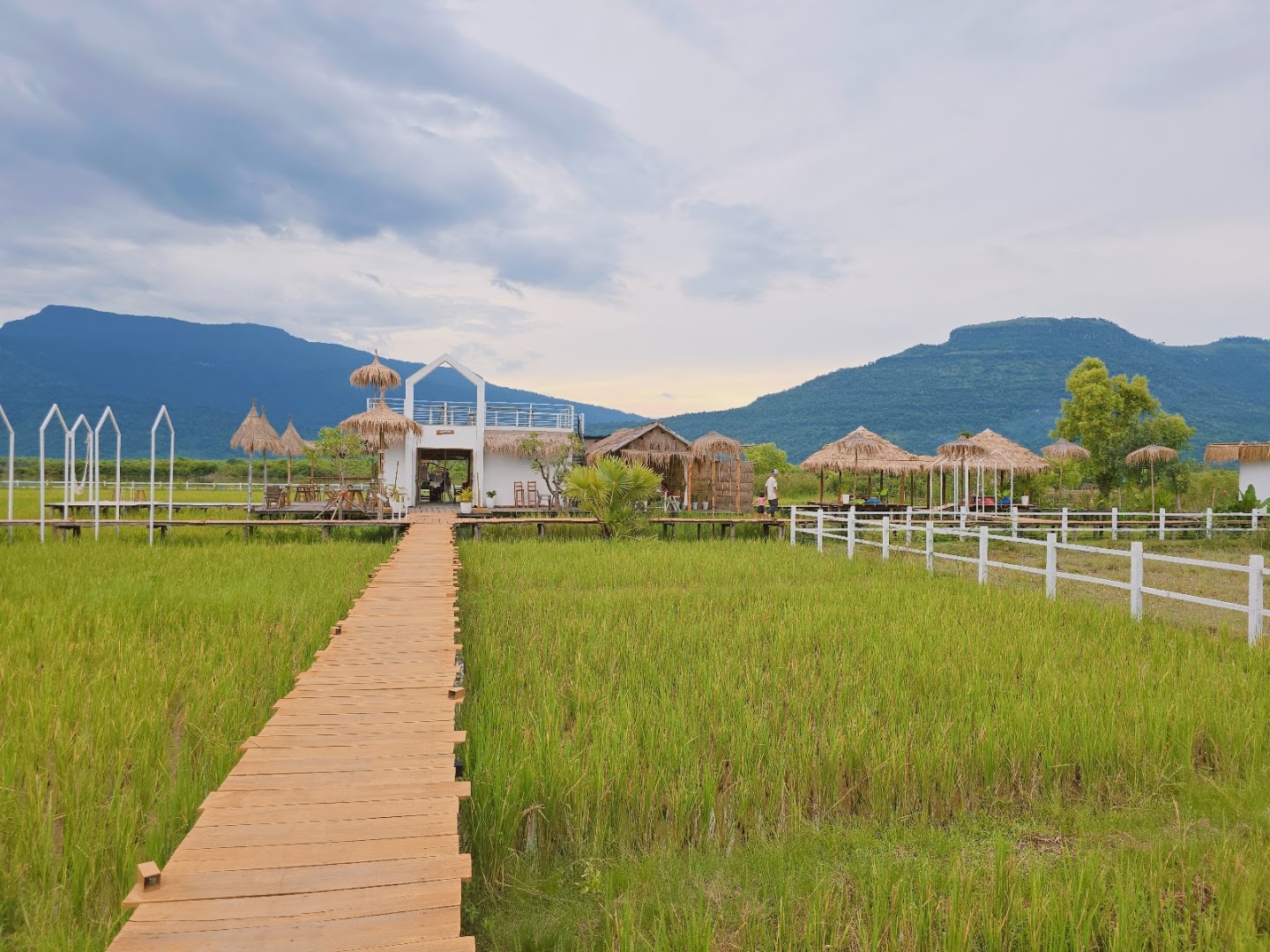 Thongna Sky Café: beautiful scenic view of venue