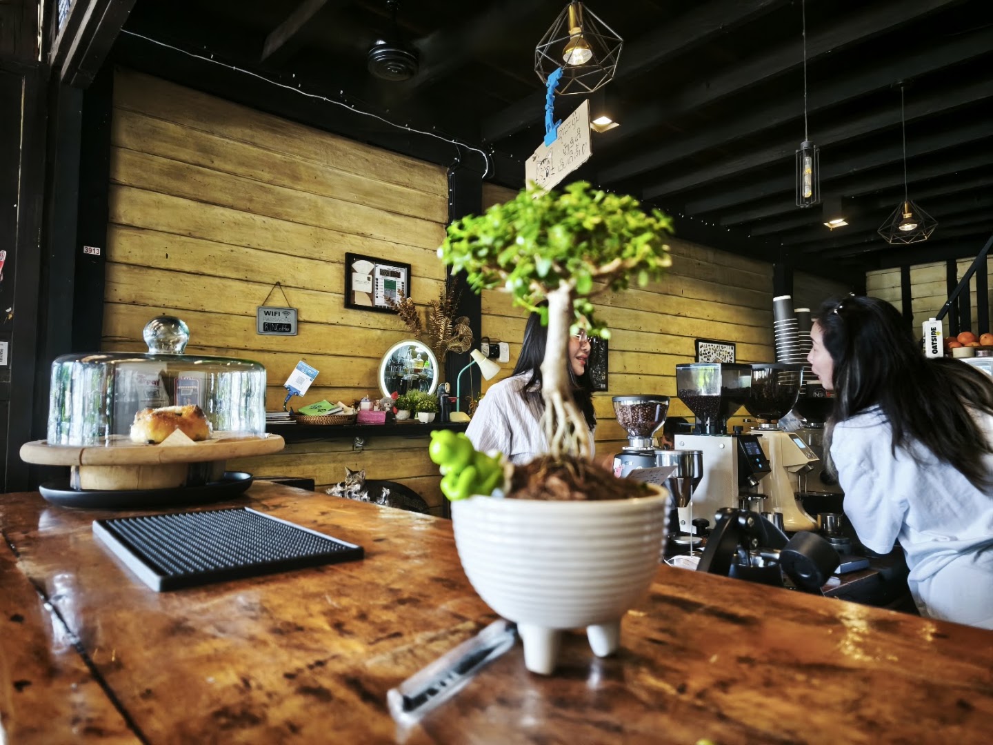 RiN Coffee Pakse: inviting atmosphere and professional quality