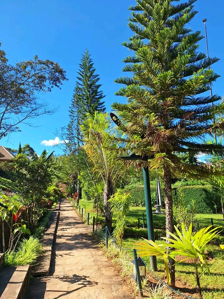 Andasibe Cyperus Hotel: beautiful hotel grounds and scenery