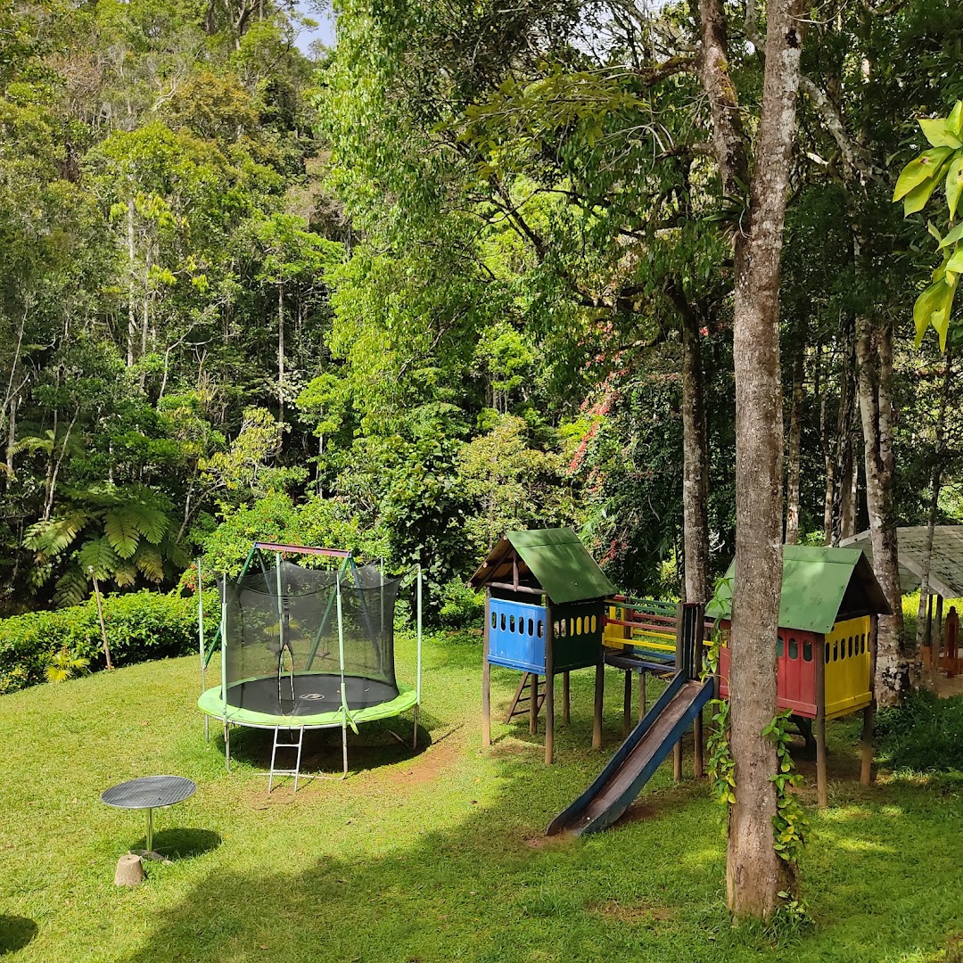 Feon'ny Ala: restaurant's outdoor recreational area