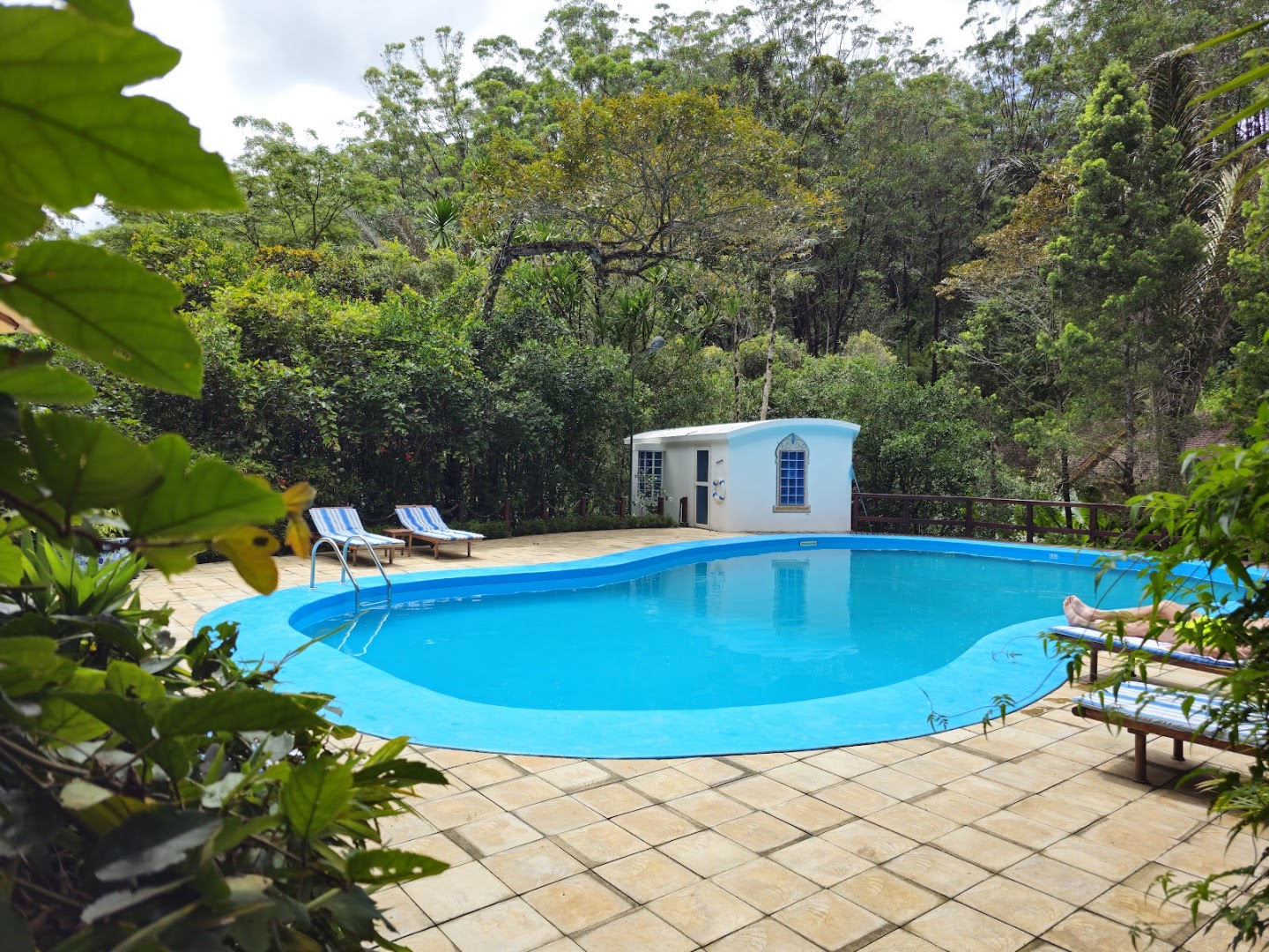 Vakôna Forest Lodge: lodge pool and amenities