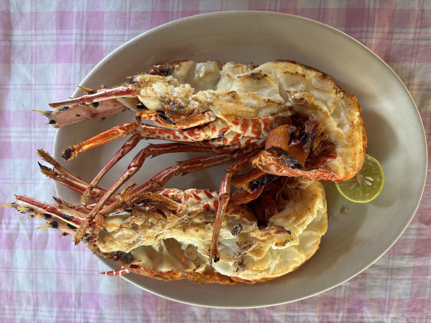 Le Corail: appetizing, high-quality food photography