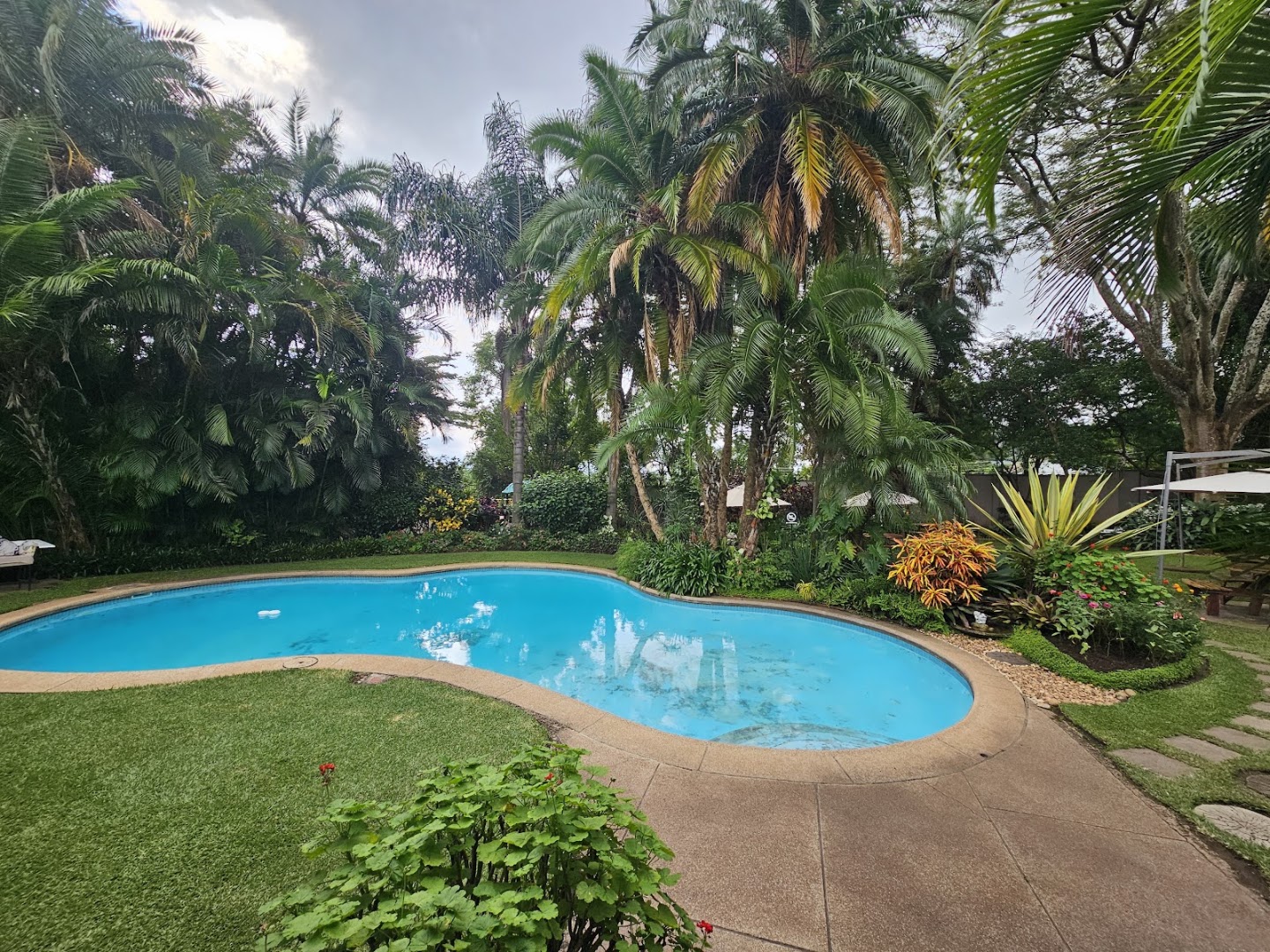 Mijn Kitchen Coffee Shop and B&B: attractive outdoor pool and garden