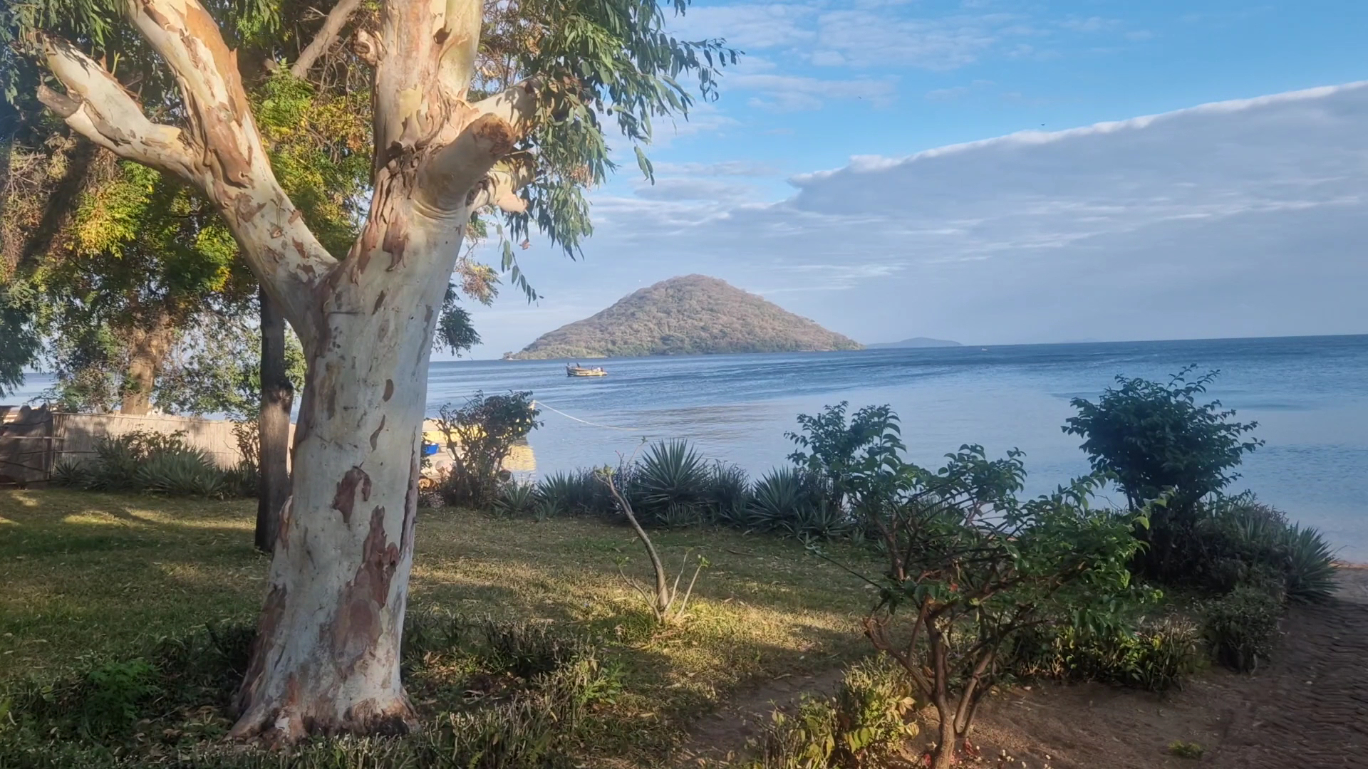 Cape Mac Lodge & Froggies Restaurant: beautiful scenic view of venue