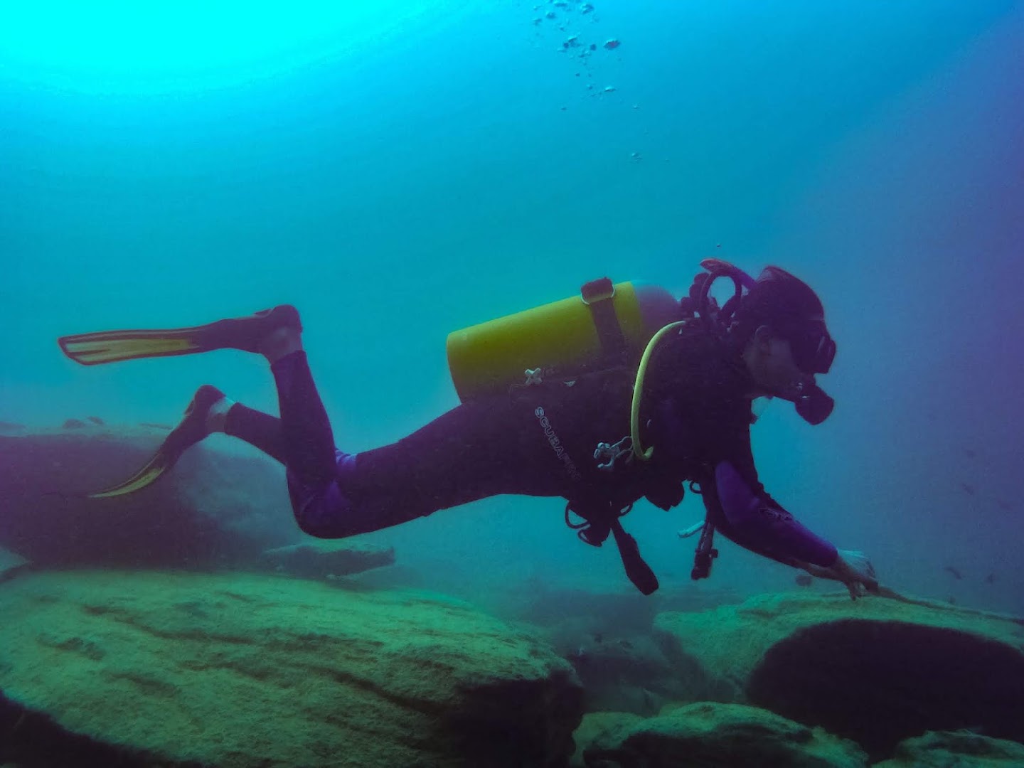 Aqua Africa Dive School: activity at dive school