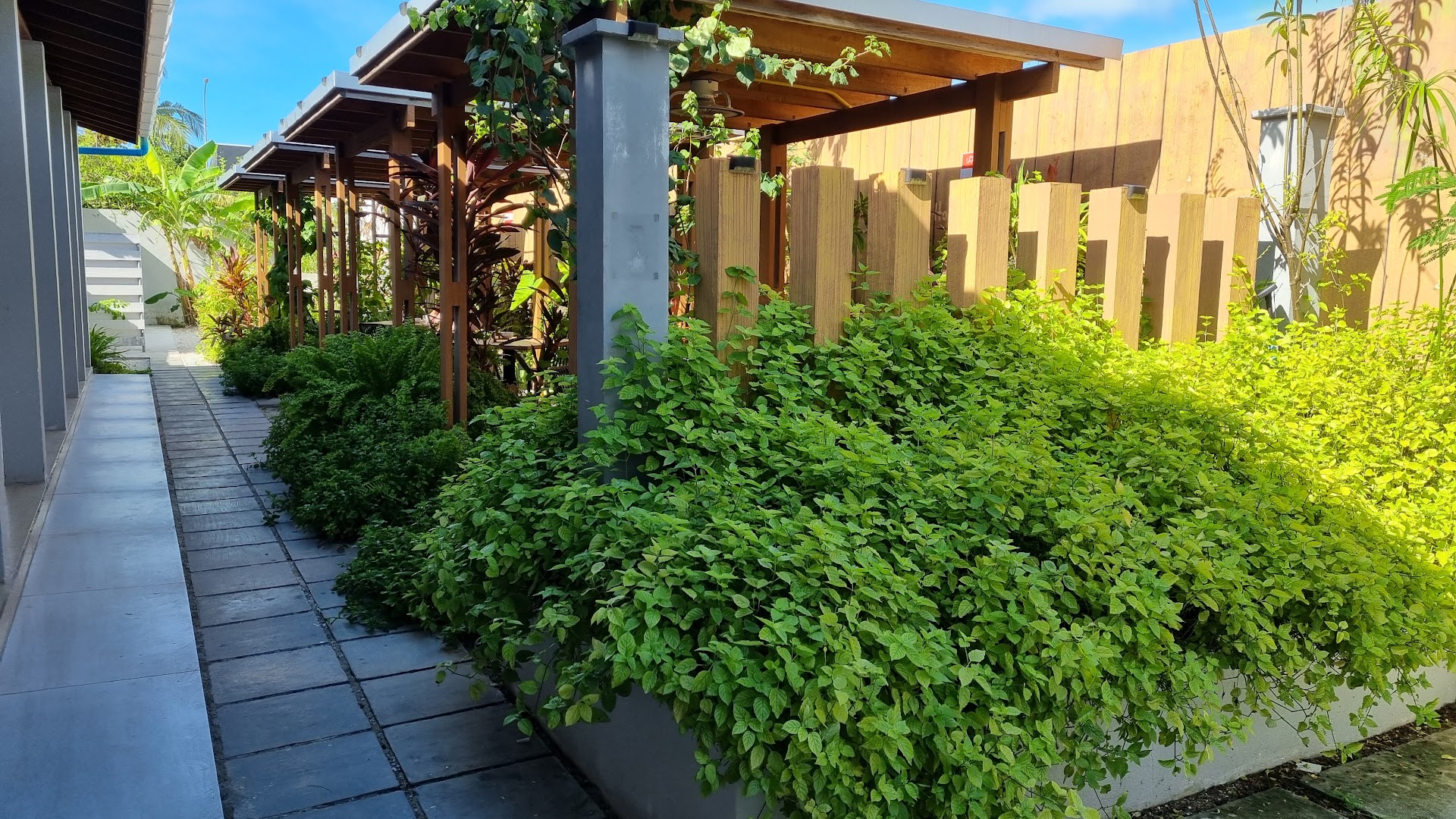 Zingel Cafe: attractive outdoor seating area