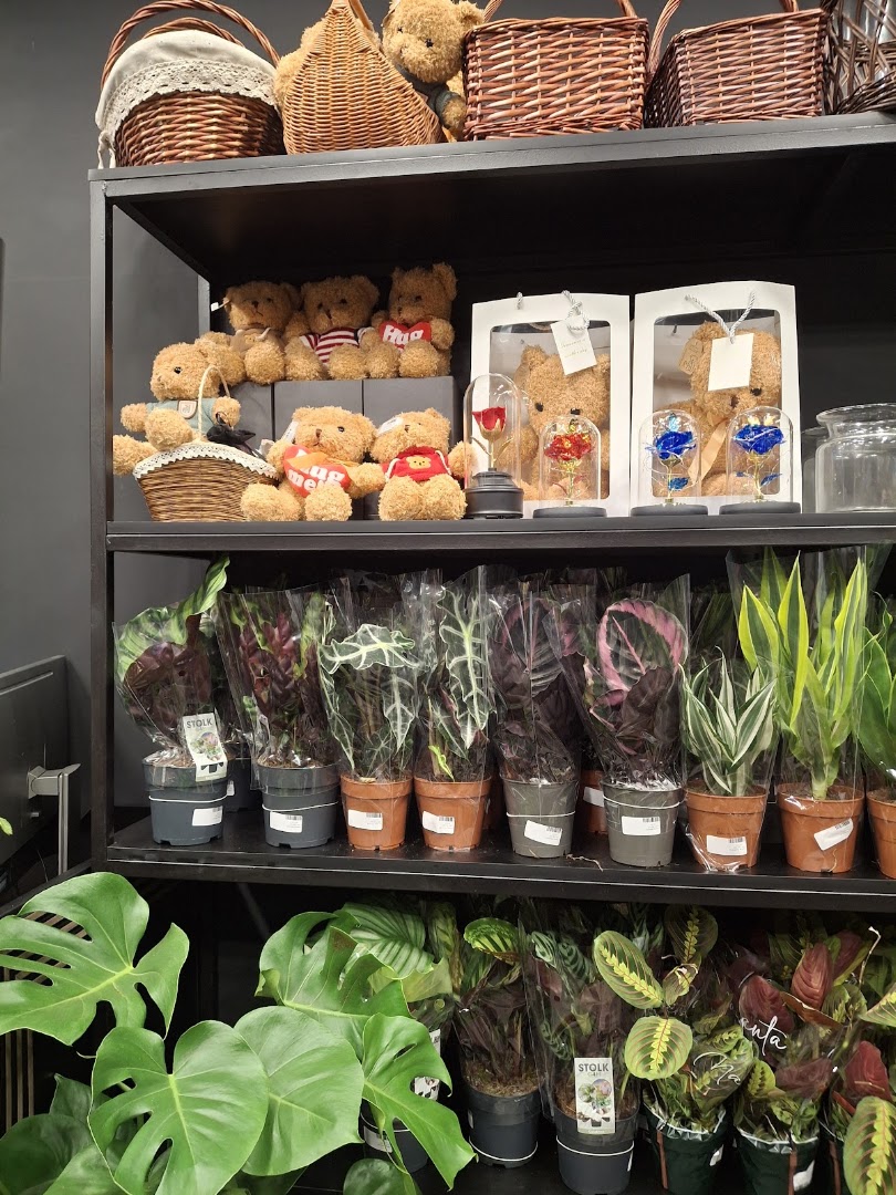 PIXY MOON: clear display of shop products