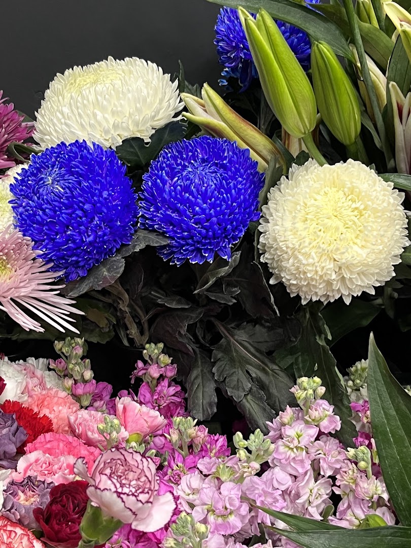 PIXY MOON: high quality product display photo