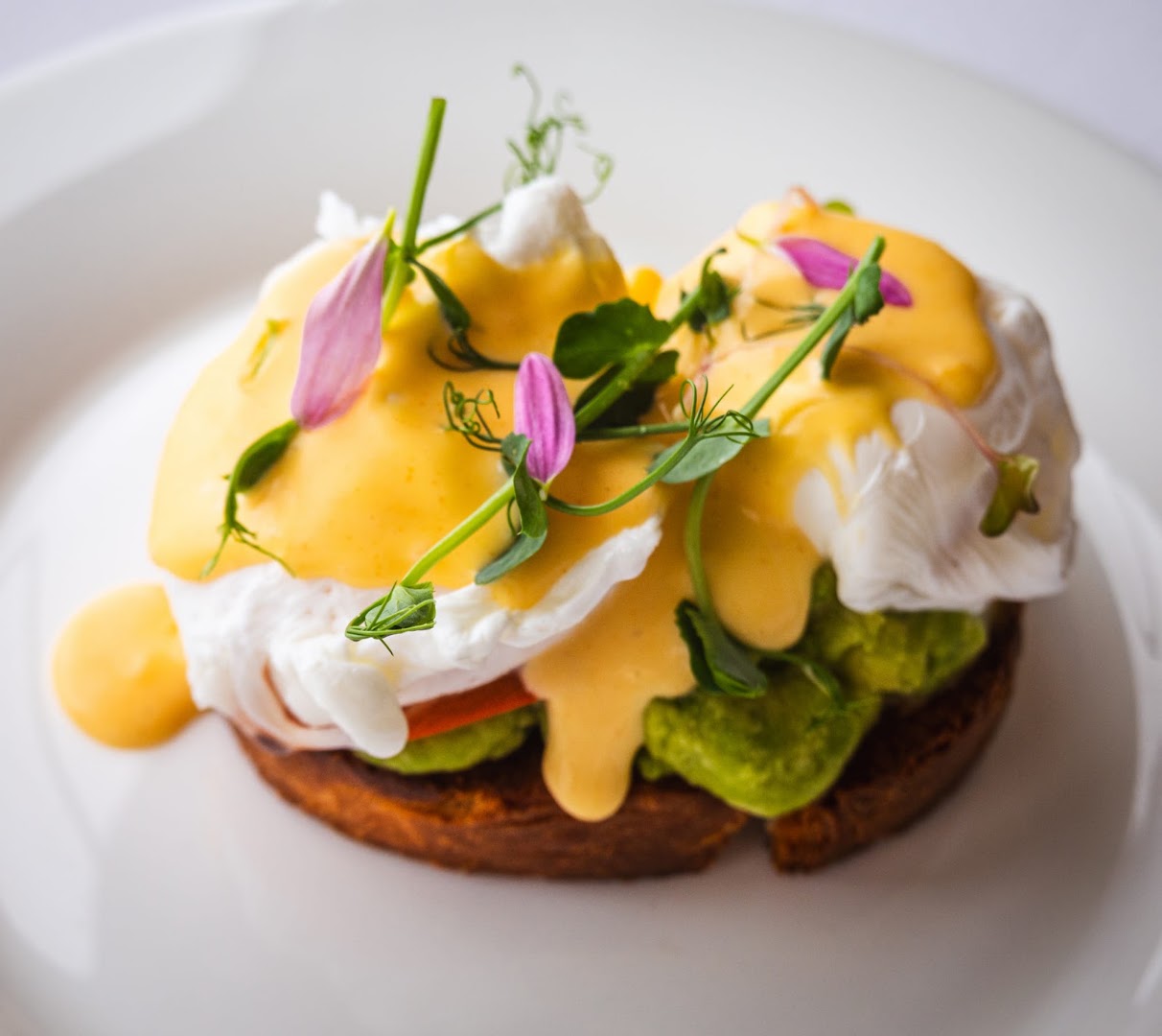 Courtyard Lounge Café: high quality food photography