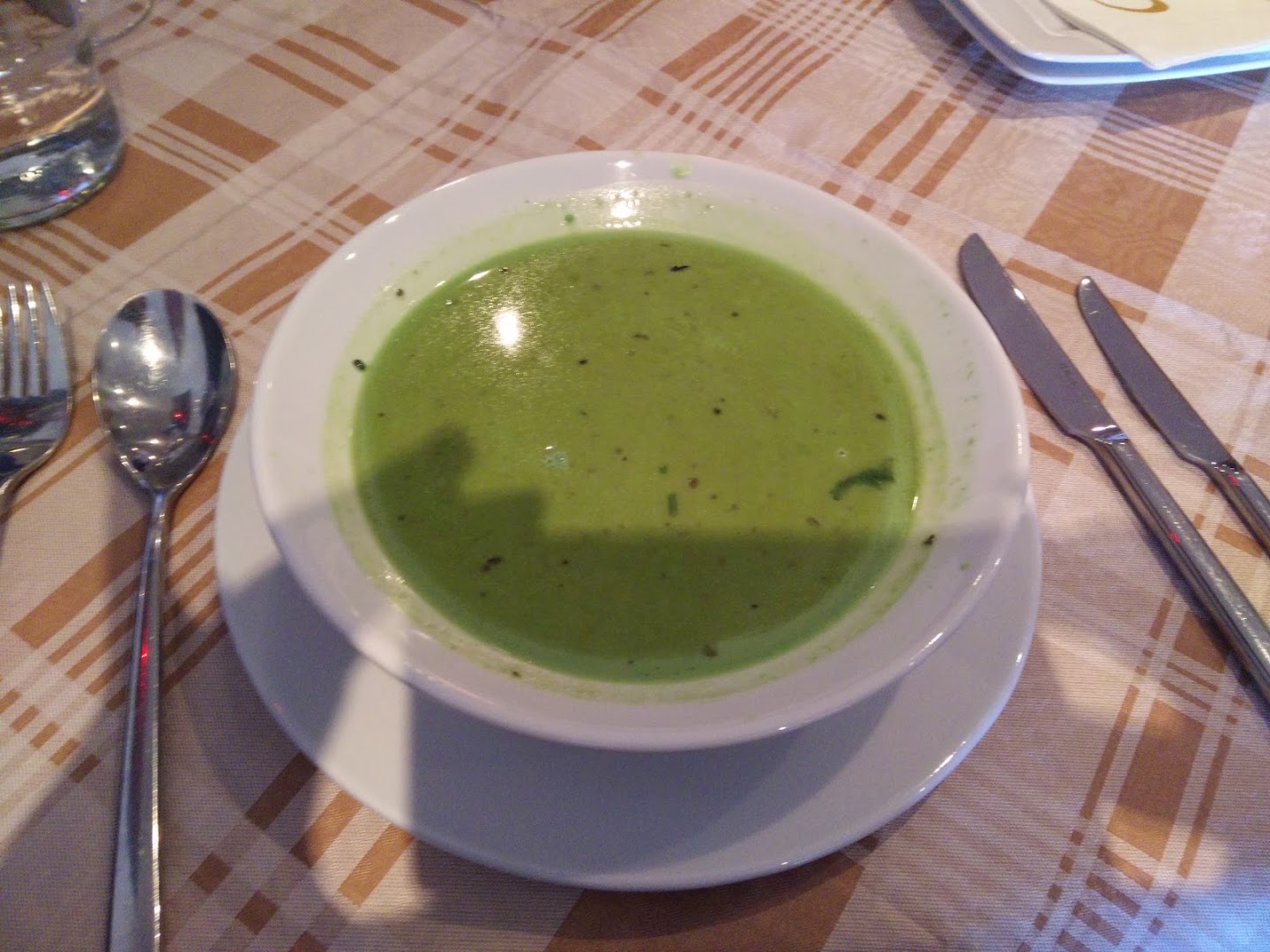 Shiva’s: appetizing photo of served soup