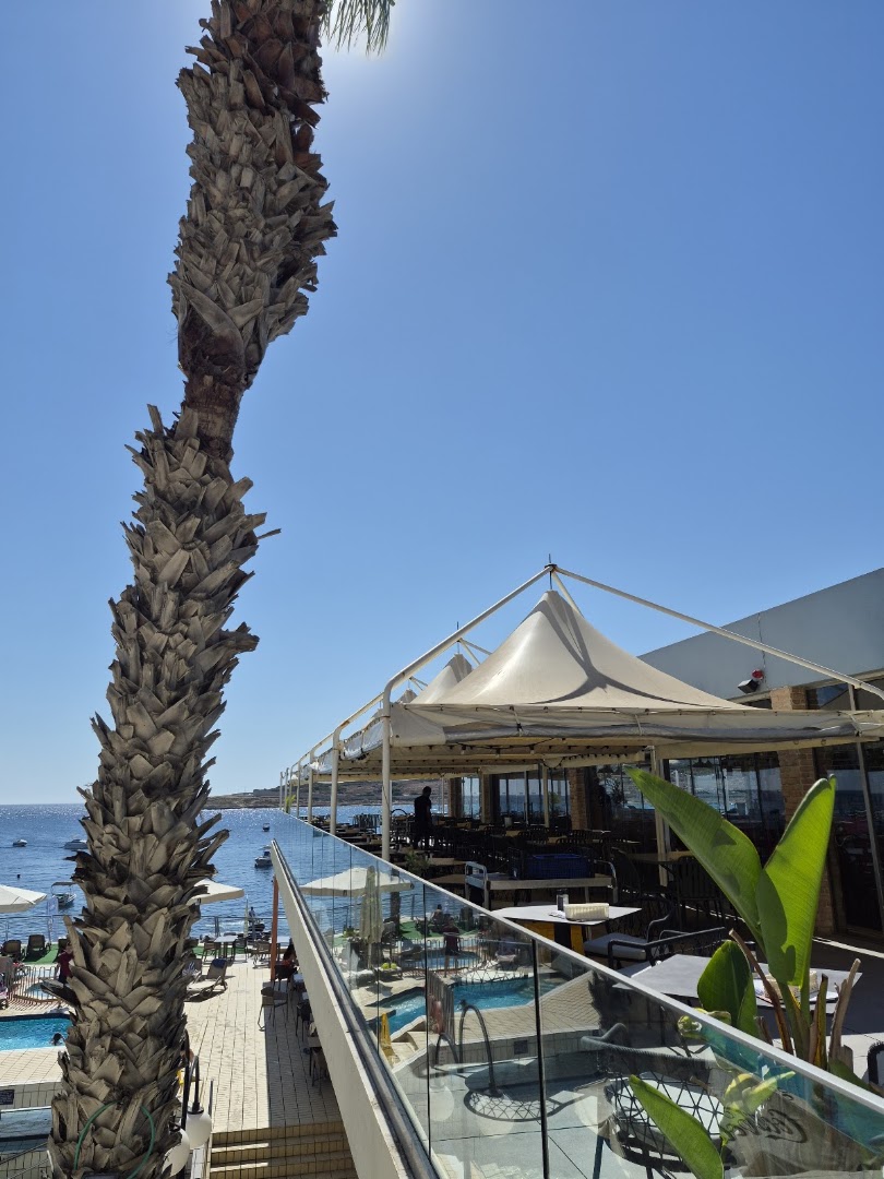 Vecchia Napoli Qawra: attractive view of restaurant terrace